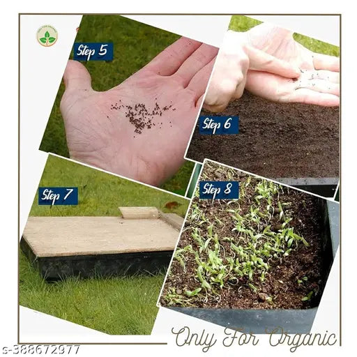 Mixed flower seeds