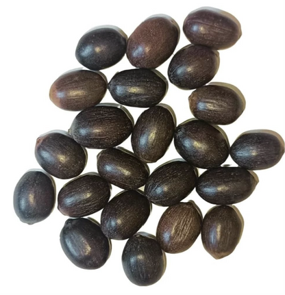 Premium Lotus Flower Seeds | Kamal Beej for Home Gardening | Aquatic Flower Seeds for Pond, Bowl & Pot (Pack of 30)